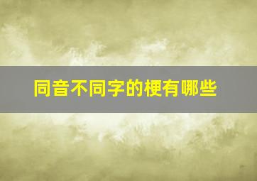 同音不同字的梗有哪些