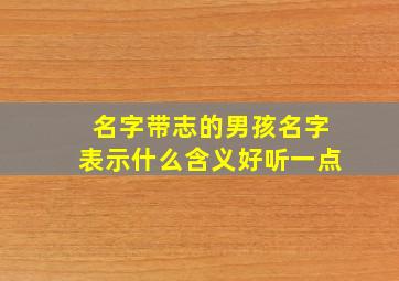 名字带志的男孩名字表示什么含义好听一点