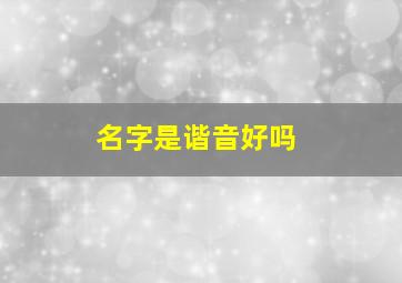 名字是谐音好吗