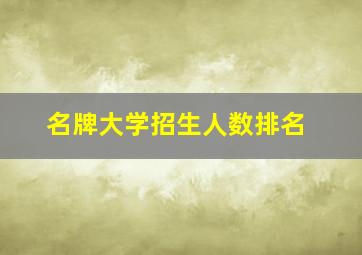 名牌大学招生人数排名