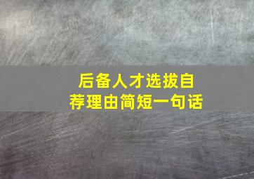 后备人才选拔自荐理由简短一句话