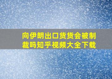 向伊朗出口货货会被制裁吗知乎视频大全下载