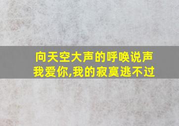 向天空大声的呼唤说声我爱你,我的寂寞逃不过