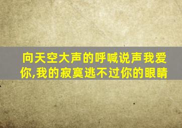 向天空大声的呼喊说声我爱你,我的寂寞逃不过你的眼睛