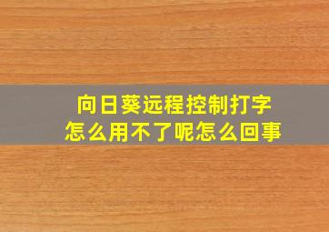 向日葵远程控制打字怎么用不了呢怎么回事