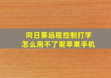 向日葵远程控制打字怎么用不了呢苹果手机