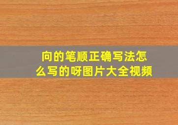 向的笔顺正确写法怎么写的呀图片大全视频