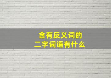 含有反义词的二字词语有什么