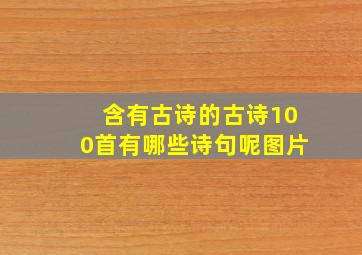 含有古诗的古诗100首有哪些诗句呢图片