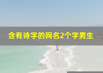 含有诗字的网名2个字男生