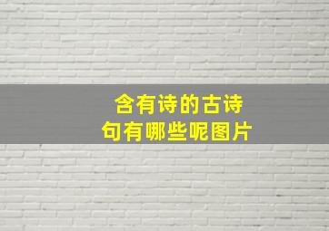 含有诗的古诗句有哪些呢图片