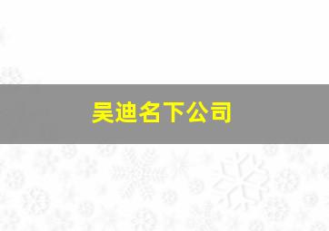 吴迪名下公司