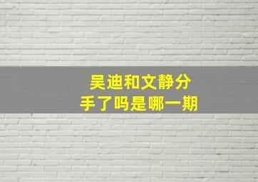 吴迪和文静分手了吗是哪一期