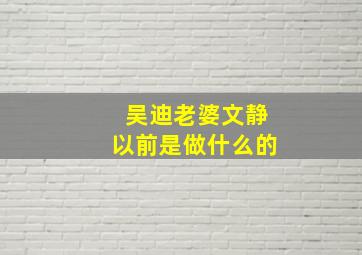 吴迪老婆文静以前是做什么的