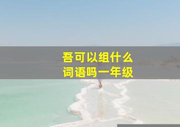 吾可以组什么词语吗一年级