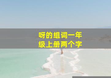 呀的组词一年级上册两个字