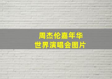 周杰伦嘉年华世界演唱会图片