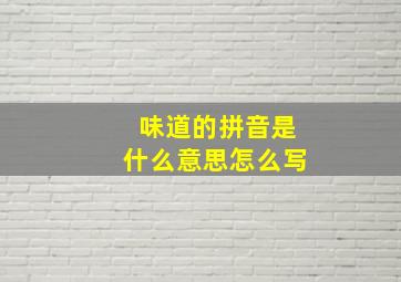 味道的拼音是什么意思怎么写