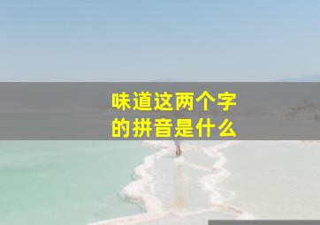 味道这两个字的拼音是什么