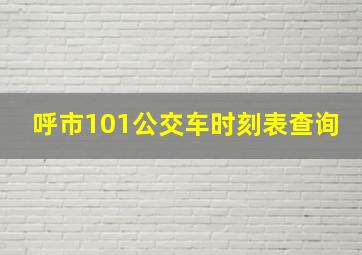 呼市101公交车时刻表查询