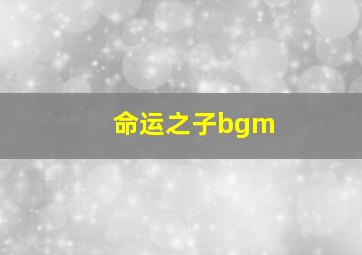 命运之子bgm