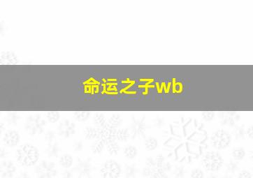 命运之子wb