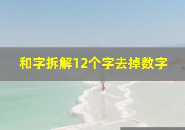 和字拆解12个字去掉数字