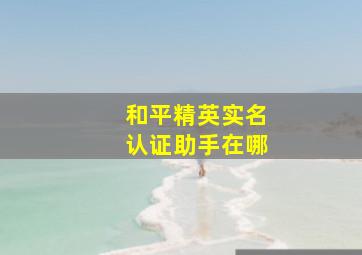 和平精英实名认证助手在哪