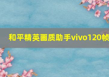 和平精英画质助手vivo120帧