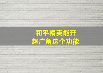 和平精英能开超广角这个功能