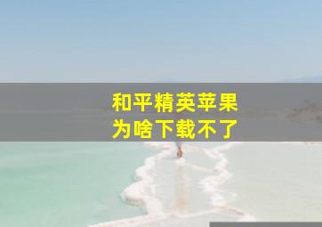 和平精英苹果为啥下载不了