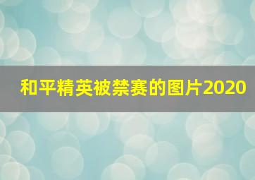 和平精英被禁赛的图片2020