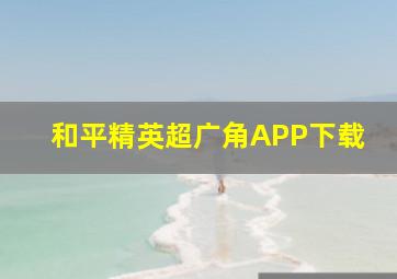 和平精英超广角APP下载