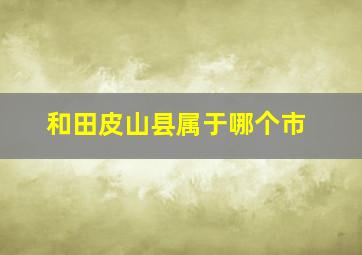 和田皮山县属于哪个市