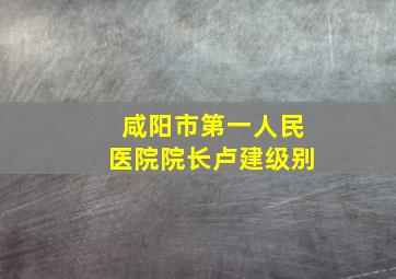 咸阳市第一人民医院院长卢建级别