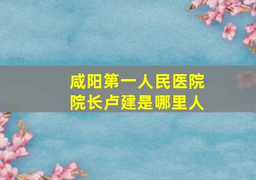 咸阳第一人民医院院长卢建是哪里人