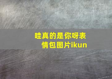 哇真的是你呀表情包图片ikun