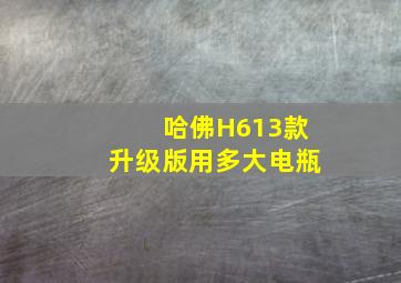 哈佛H613款升级版用多大电瓶