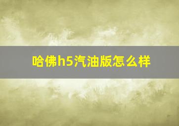 哈佛h5汽油版怎么样