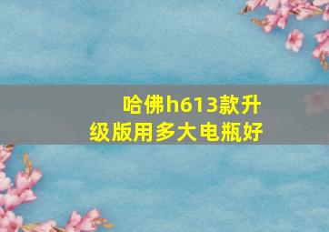 哈佛h613款升级版用多大电瓶好