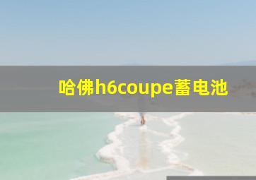 哈佛h6coupe蓄电池