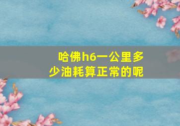 哈佛h6一公里多少油耗算正常的呢