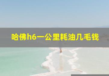 哈佛h6一公里耗油几毛钱