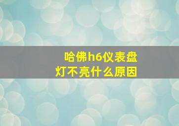 哈佛h6仪表盘灯不亮什么原因