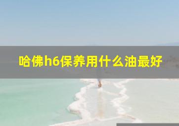 哈佛h6保养用什么油最好