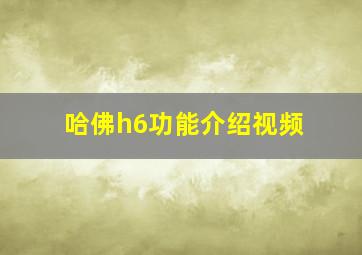 哈佛h6功能介绍视频