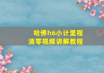 哈佛h6小计里程清零视频讲解教程