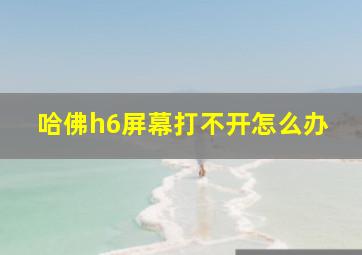 哈佛h6屏幕打不开怎么办