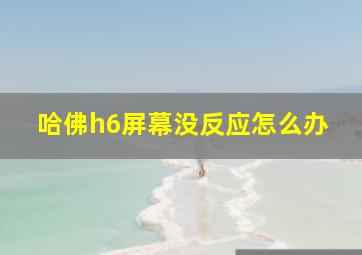 哈佛h6屏幕没反应怎么办