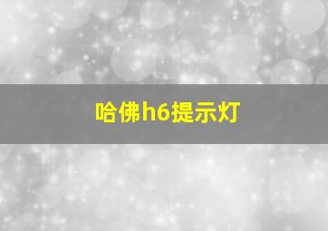 哈佛h6提示灯